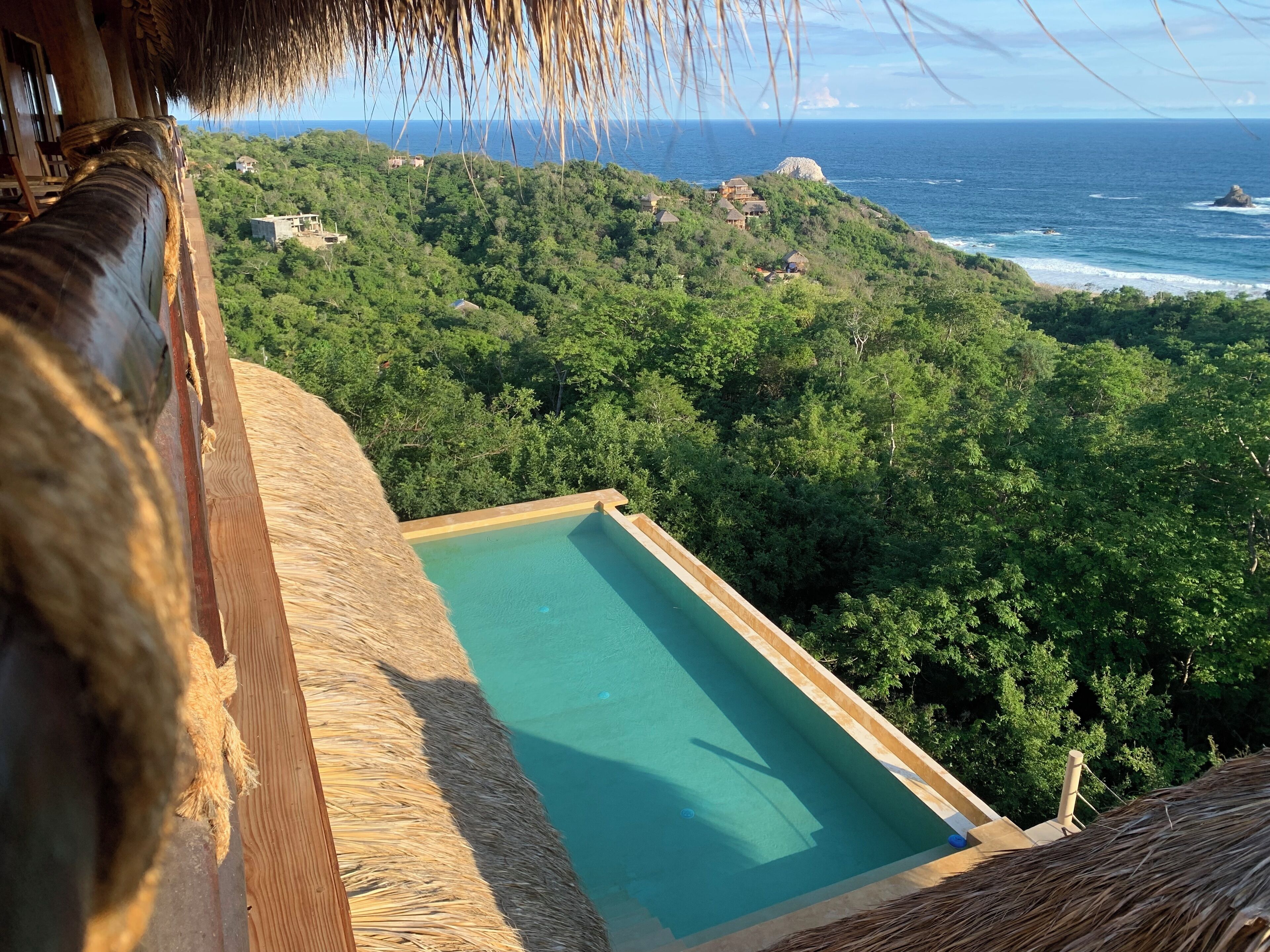A pool with a view of the ocean and lush greenery.