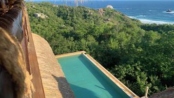 A pool with a view of the ocean and lush greenery.