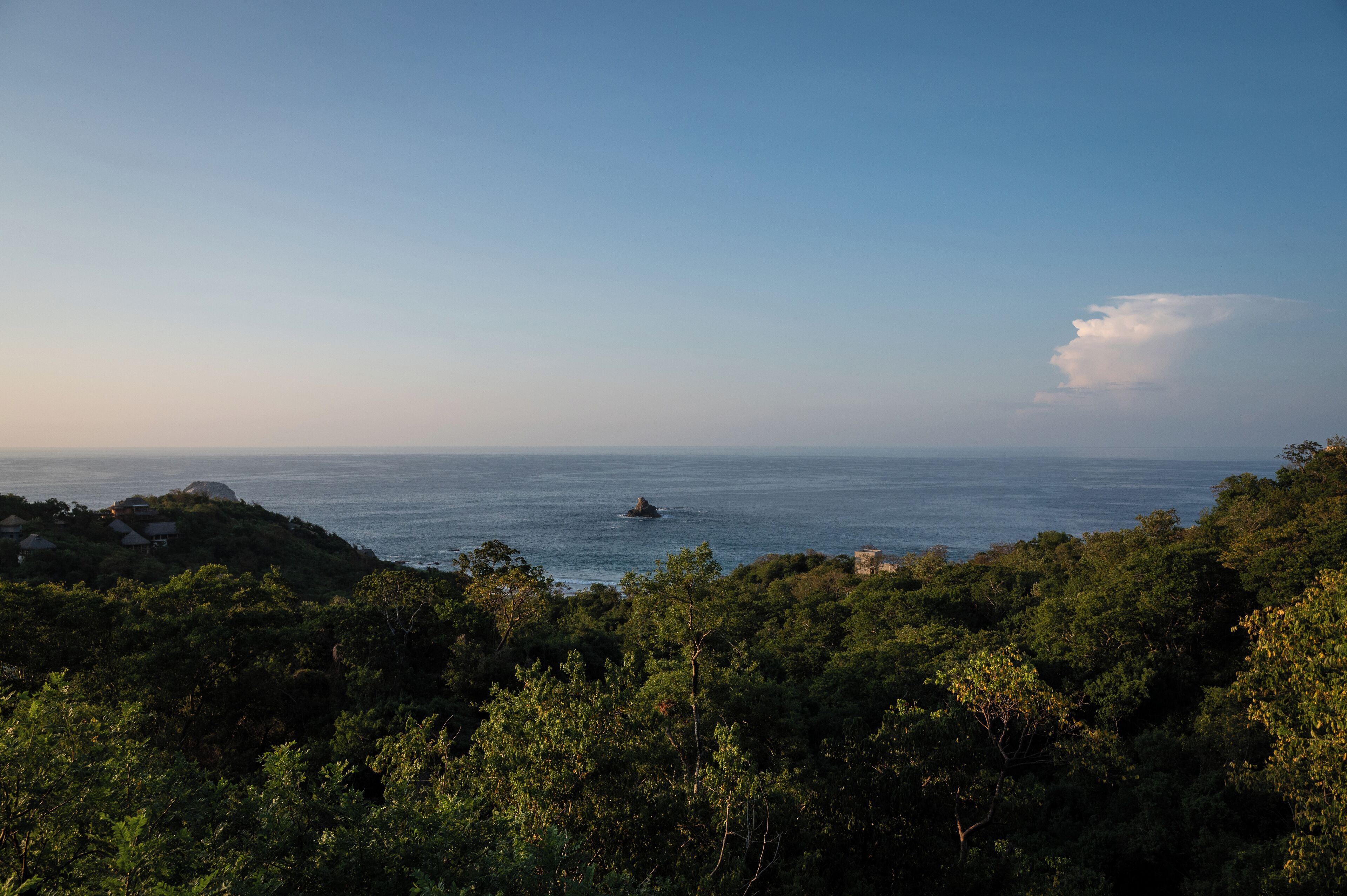 A coastal landscape with dense forest, a small island, and a clear sky.