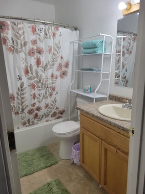Hair dryer, towels, soap, shampoo