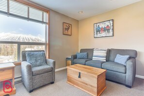 Fireplace - Incredible Mountain & Resort Views / Two AC Units (Fernie)