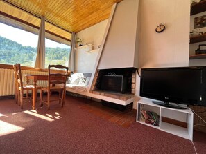 Fernseher