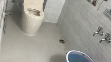 Jetted bath, hair dryer, bidet, towels