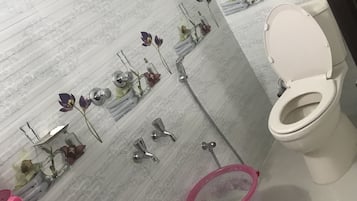 Jetted bath, hair dryer, bidet, towels