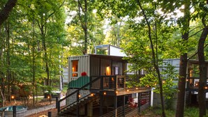 Une cabane dans les arbres dotée d’une terrasse et d’un escalier, entourée d’une forêt.