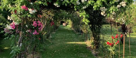 المنطقة المحيطة بالمنشأة