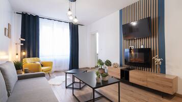 TV, fireplace, books