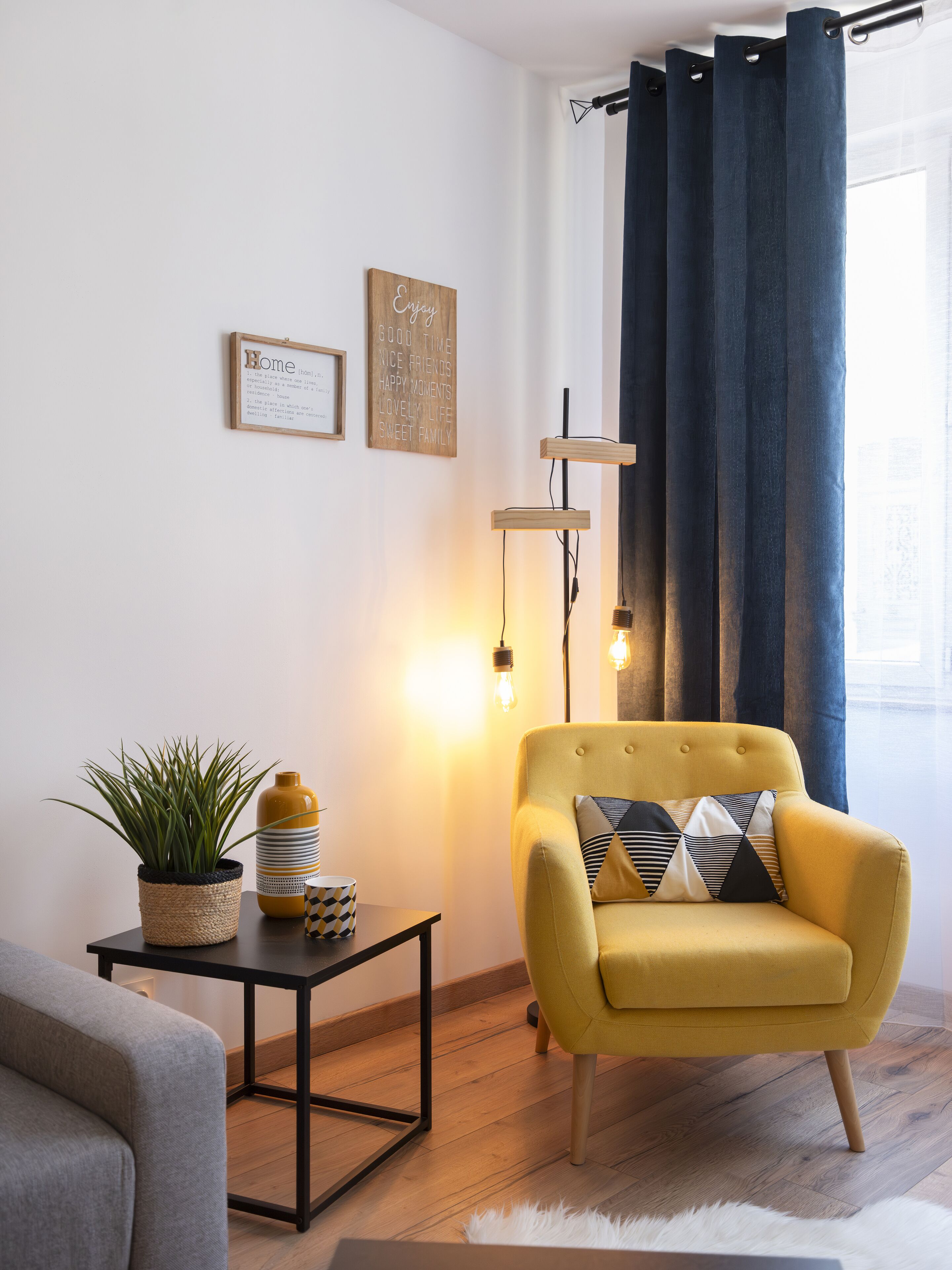 Télévision, cheminée, livres
