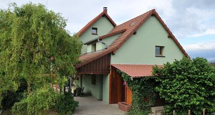 Bright and quiet cottage with terrace, barbecue, and parking 5 km from Colmar