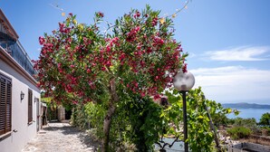 Een pad van stenen leidt naar een gebouw met luiken, een boom met roze bloemen en uitzicht op zee.
