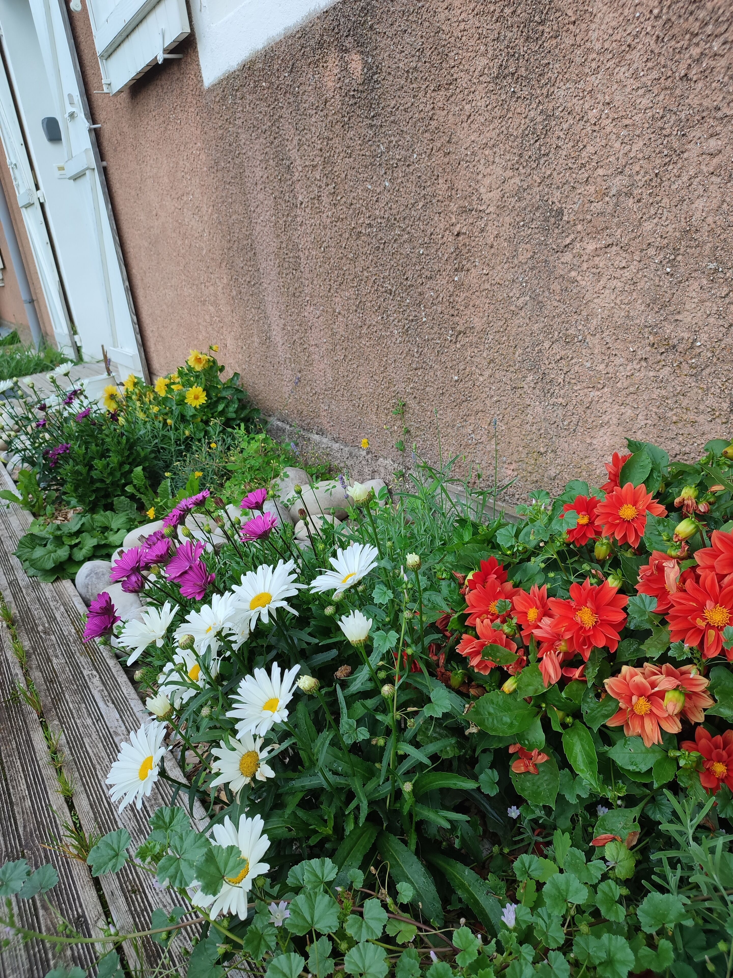 Ein Garten mit verschiedenen Blumen und einer Holzbank.