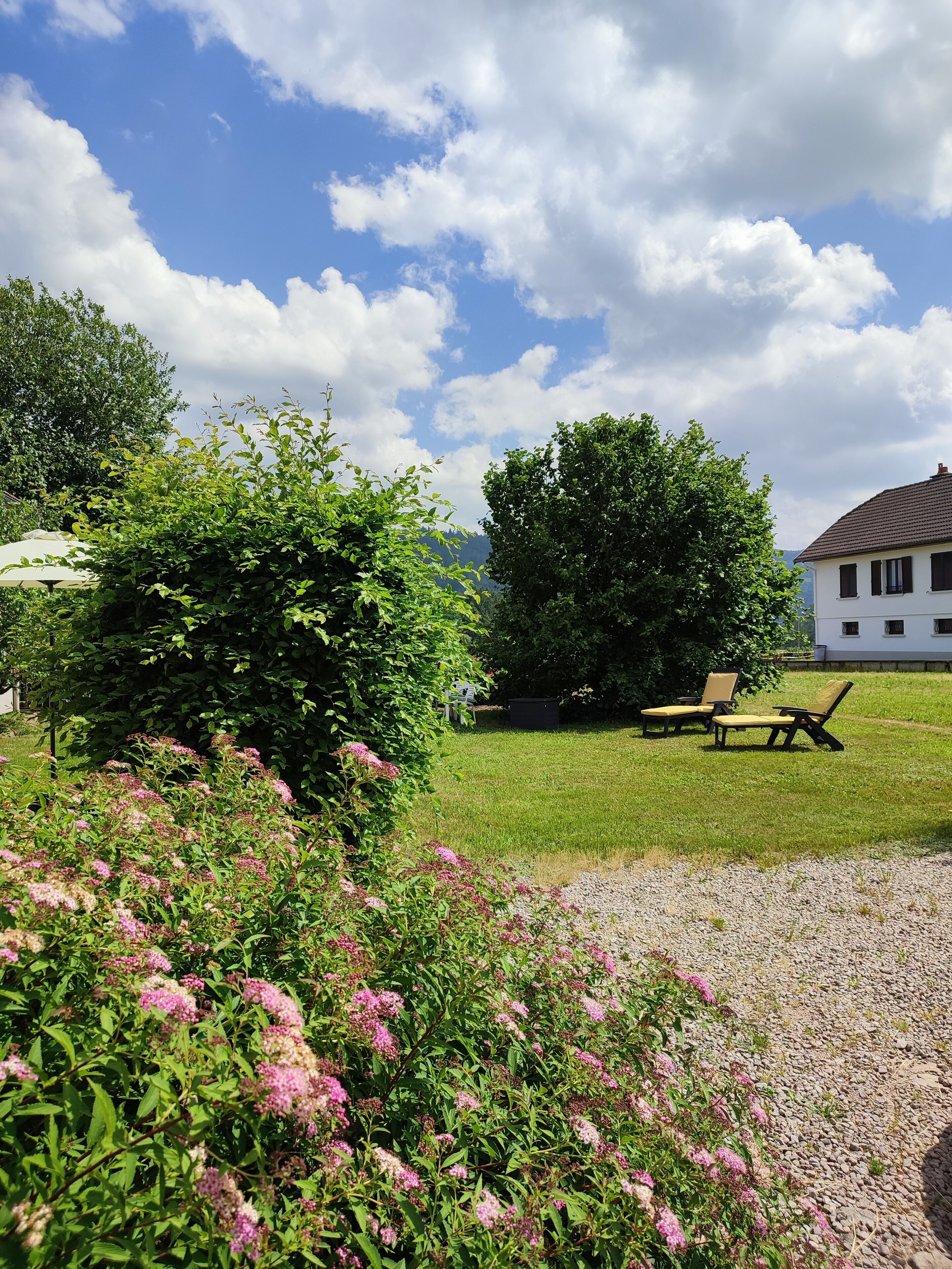 A grassy area with a picnic table and lounge chairs, surrounded by lush greenery and flowering plants.