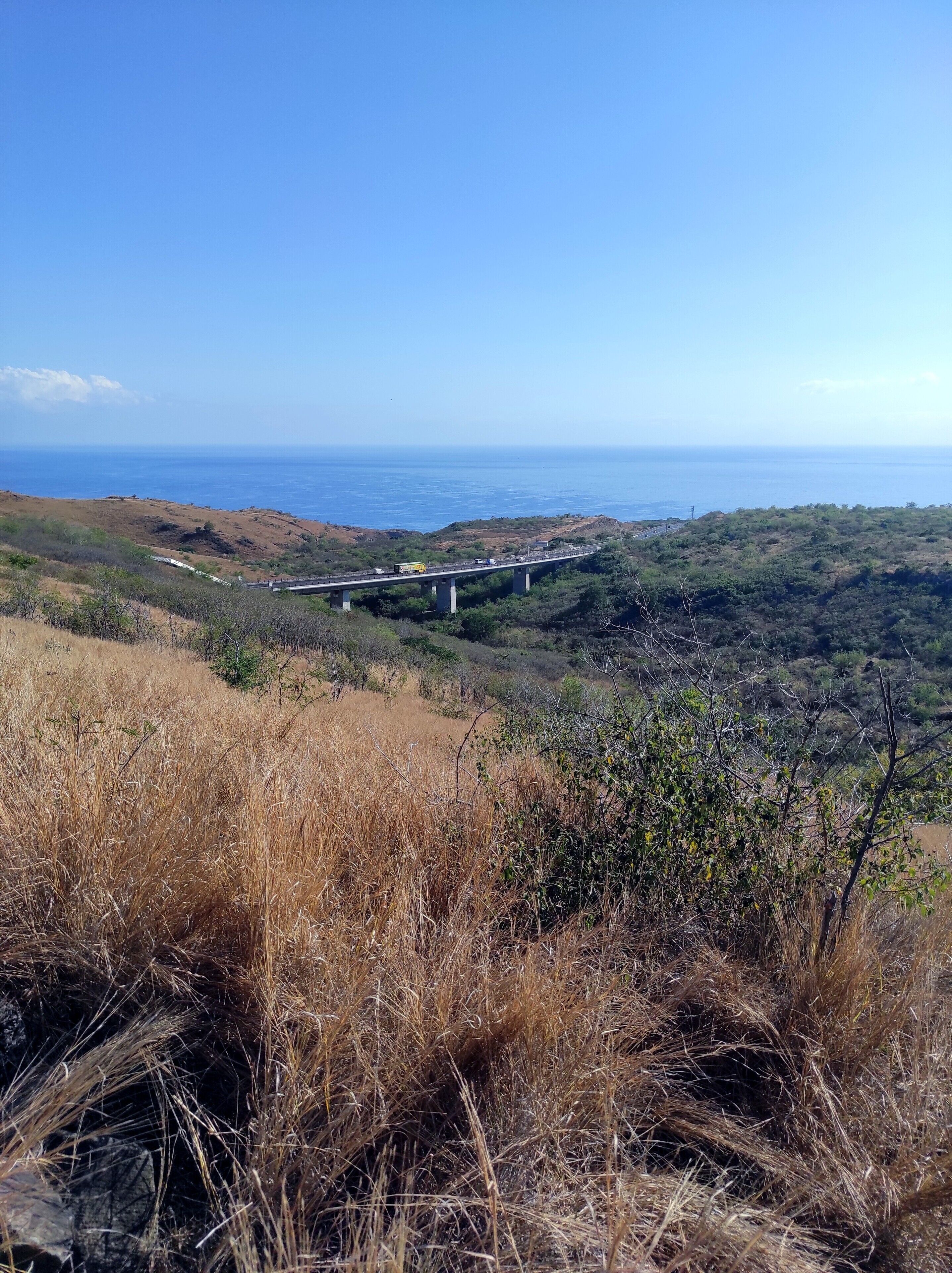 Eine Küstenlandschaft mit einer Brücke, trockenem Gras und vereinzelter Vegetation.