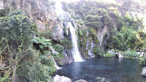 A waterfall cascading into a clear pool surrounded by dense greenery and rocky cliffs. - Chambre Privée Chez Jo, en Bordure de Savane (Saint Paul)