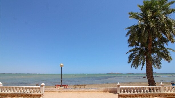 Blick auf einen Strand mit einer Palme, einer Laterne und einem Steinzaun.