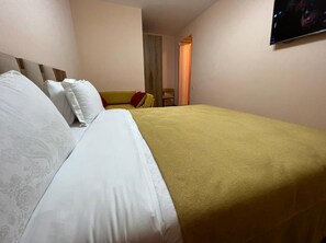 1 bedroom, iron/ironing board, WiFi, bed sheets - studio apartment (T'bilisi)