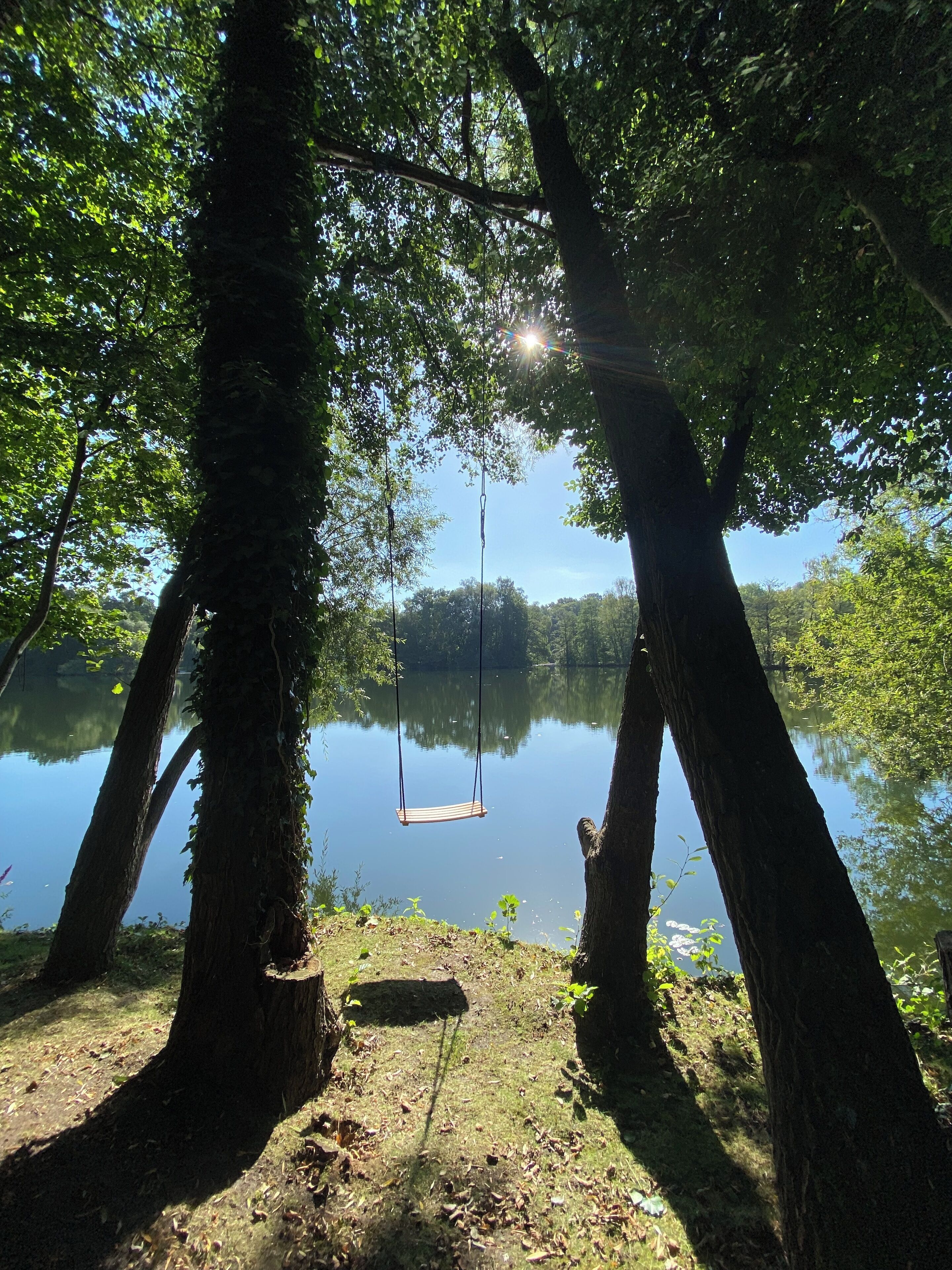 A tranquil lakeside setting with a swing hanging from a tree, surrounded by lush greenery and calm water.