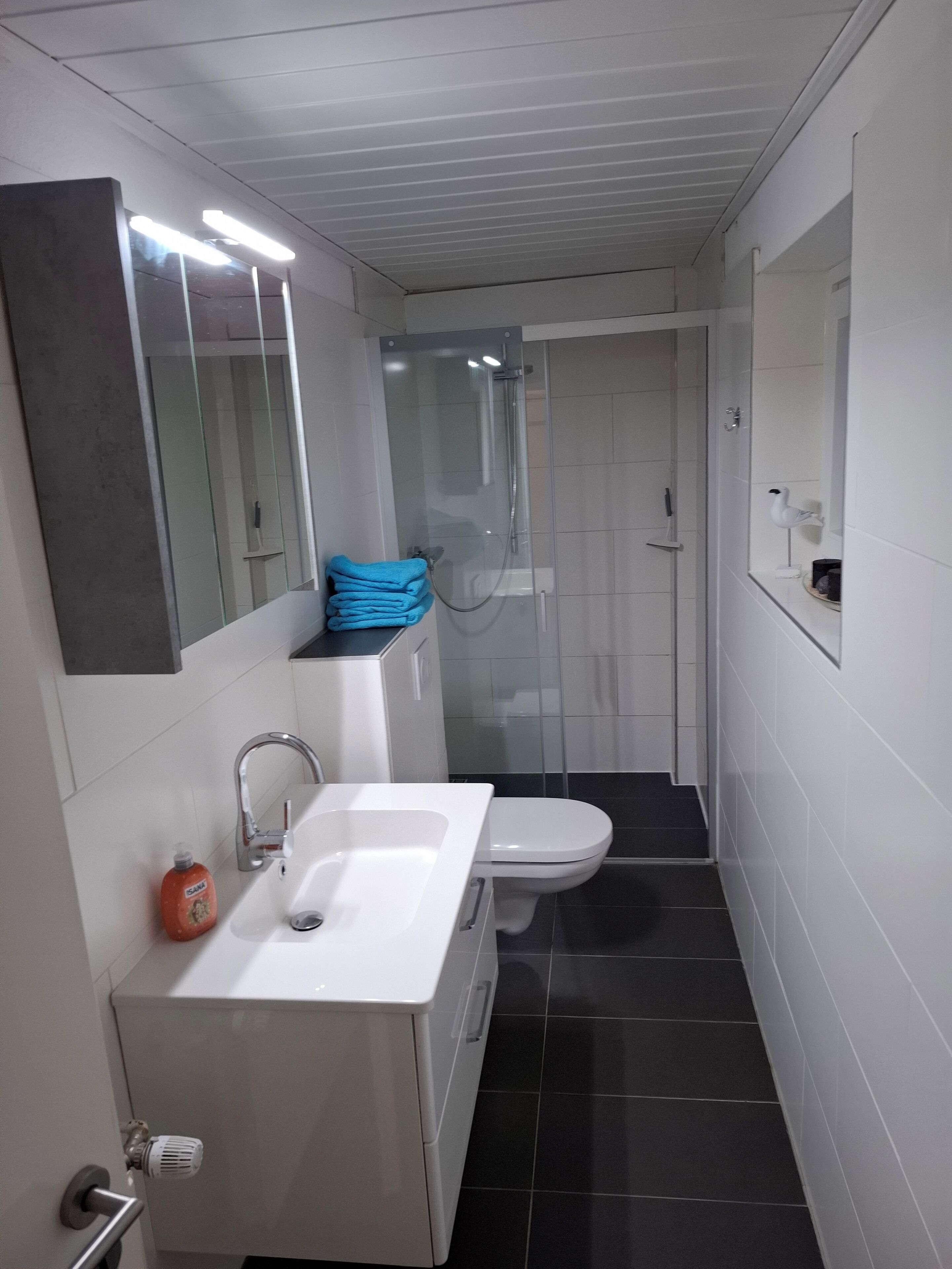 Regadera, toallas, jabón, papel de baño 