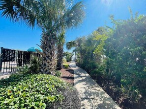 Property grounds - Meridian Great Ocean view condo on the beach, pool (Myrtle Beach)