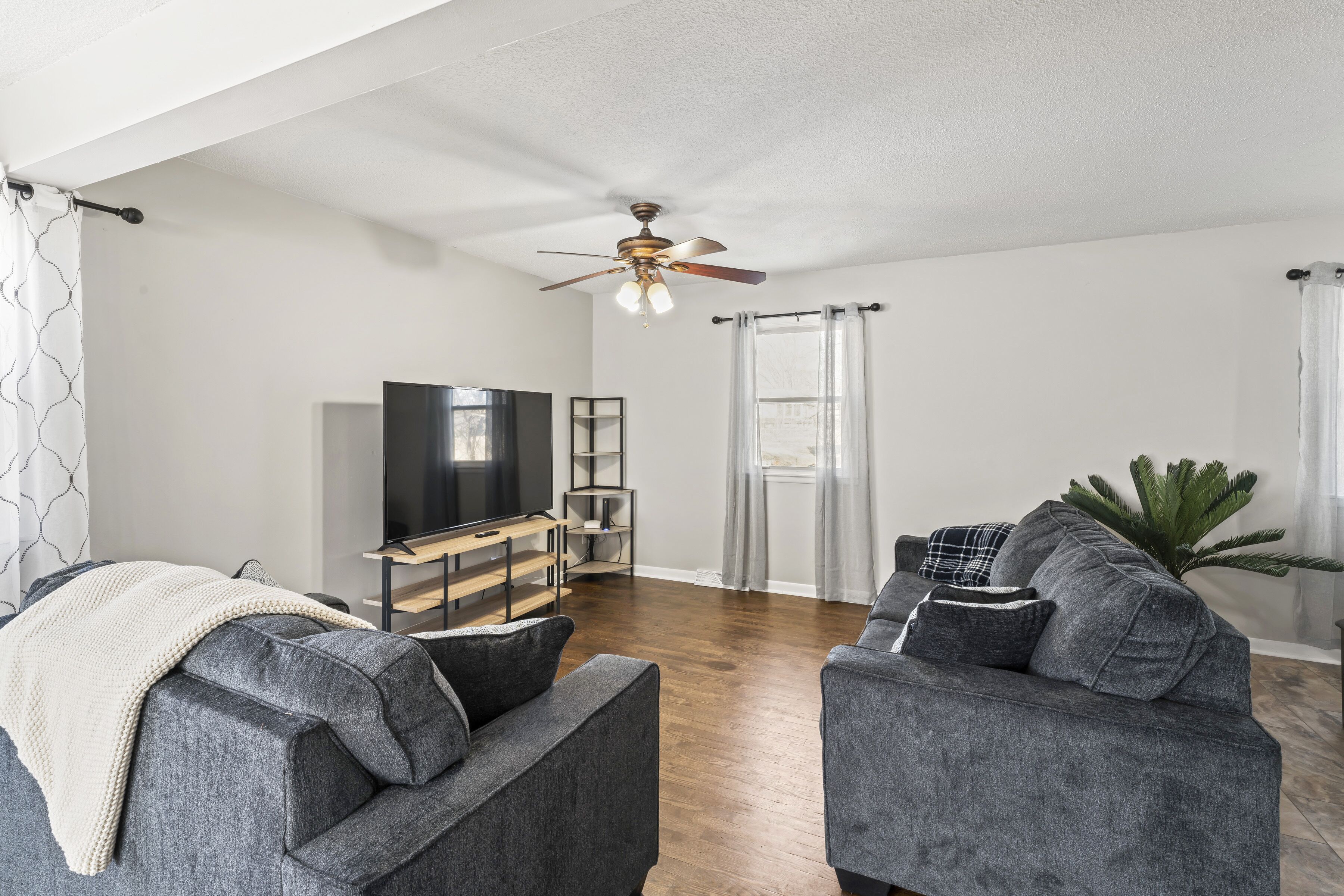 A living room with a grey sofa, a TV, a ceiling fan, and a plant.