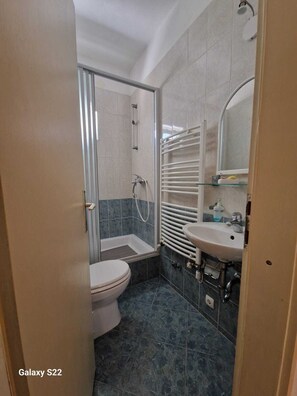 Apartment | Bathroom | Shower, hair dryer, towels