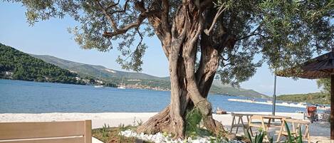 Apartment | Property grounds