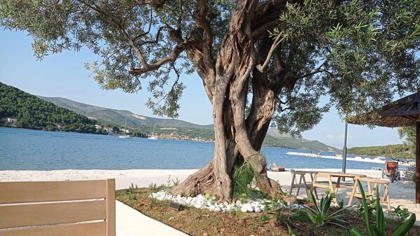 Lägenhet | Boendeområde