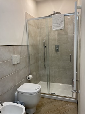 Dusche, Haartrockner, Handtücher, Seife