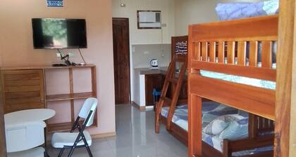 F. Ponce de Leon Road