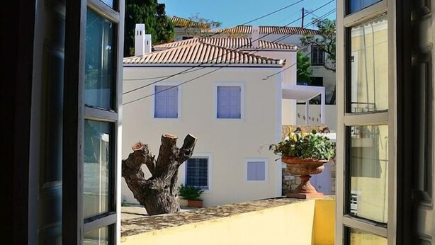A view through an open window of a building with a tiled roof, a potted plant, and a tree trunk outside.