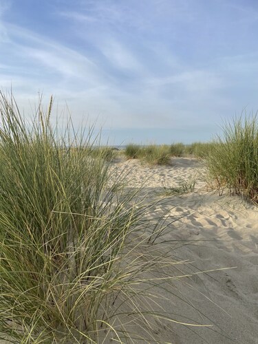 La Maison de Solange