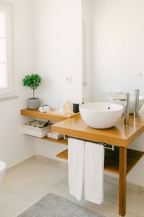 Shower, hair dryer, bidet, towels