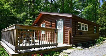 Close to Town - Pet Friendly Cabin w/ Fire Pit