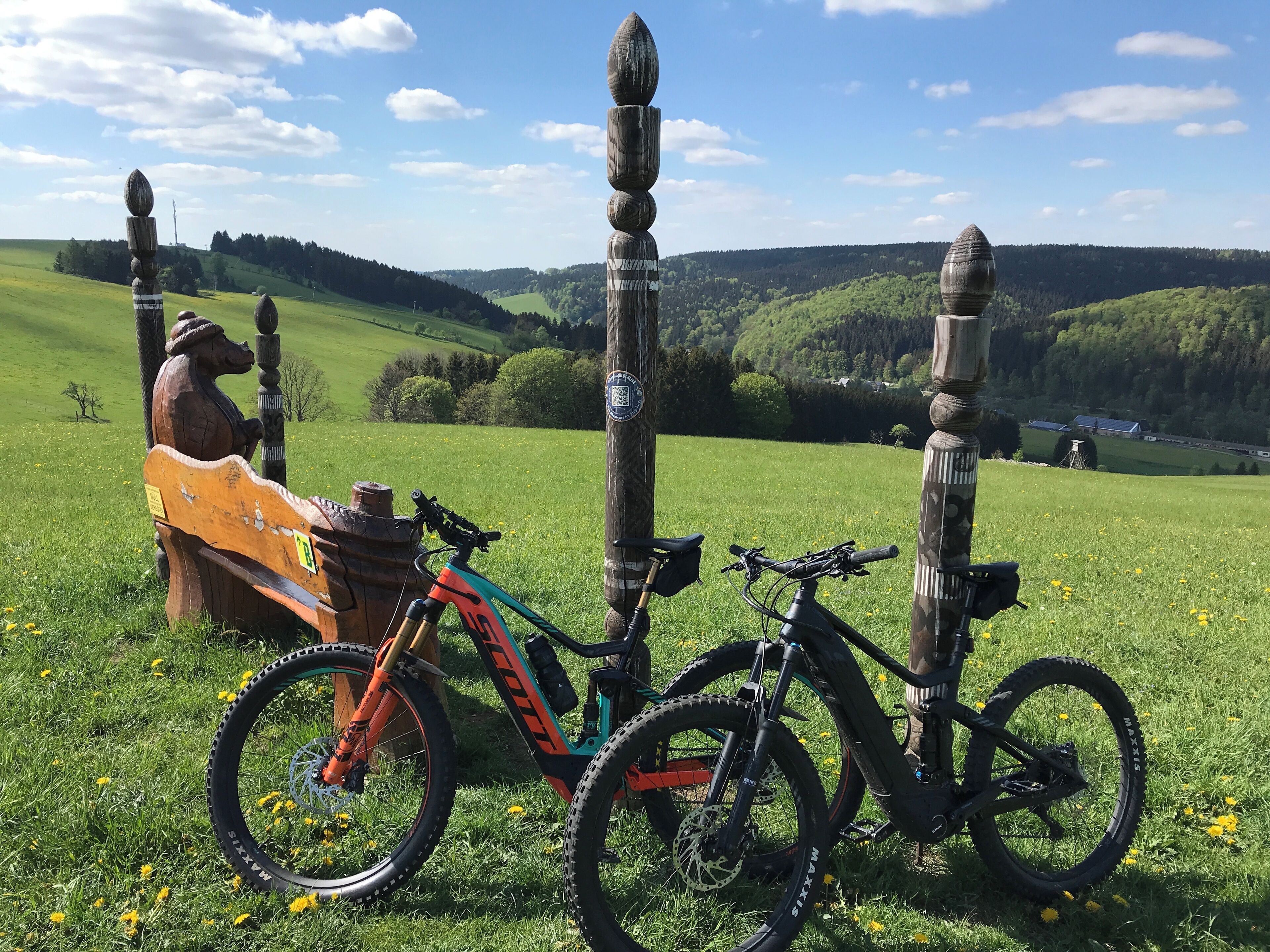 Una bicicleta de montaña estacionada en un campo cubierto de césped, con una vista panorámica de colinas y una escultura de madera al fondo.