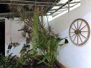 Property grounds - DON'S VILLA 92 - Very Quiet and Peaceful Place to Stay In Galle (Galle)