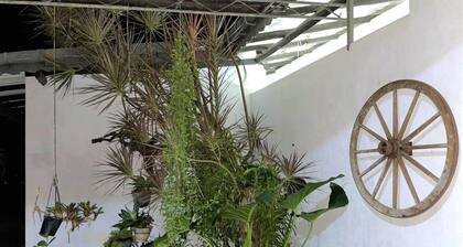 DON'S VILLA 92 - Very Quiet and Peaceful Place to Stay In Galle