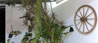 DON'S VILLA 92 - Very Quiet and Peaceful Place to Stay In Galle