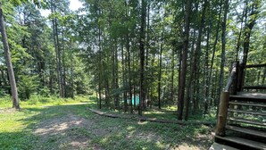 A forested area with a dirt path and wooden steps leading into the woods.