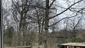 A stone pathway leading to a rustic building with a stone wall and a tree in the foreground. - Grande Maison Traditionnelle Proche de la Forêt (Brunoy)