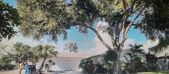 St. Pete Beach , 3-2 , heated pool , one month minimum lease.