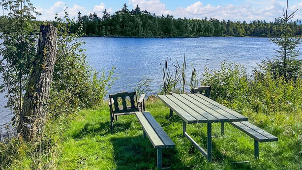Una mesa de picnic y bancos junto a un lago, con un bosque al fondo.