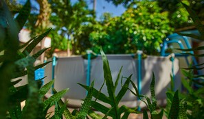 Escape to a serene oasis surrounded by lush greenery and a garden.