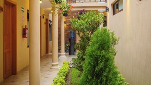 A hotel corridor with columns, a central green bush, and hanging planters with flowers. - Tierra Alta Hostal (San Cristóbal de las Casas)
