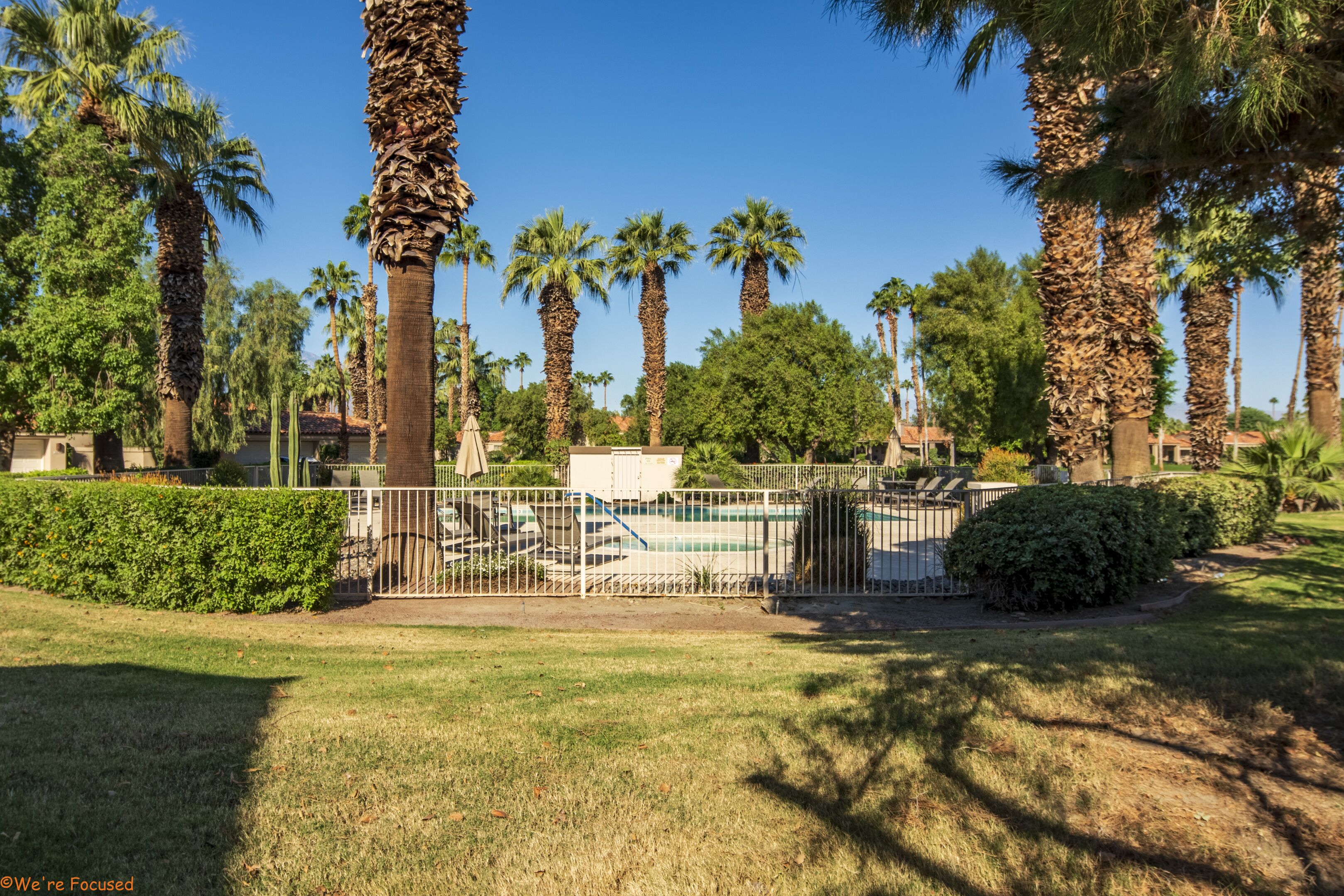 A fenced pool area with palm trees and a grassy lawn.