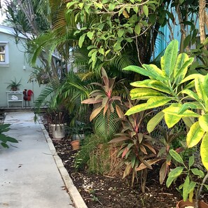 Exterior detail - Uptown quiet cottage close to beaches, restaurant & shopping. (Key West)