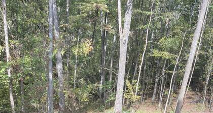 Pickwick cabin near stateline boat ramp. 2 bed 2 full bath. Boat storage