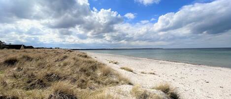 A beach with sand dunes and a clear sky.