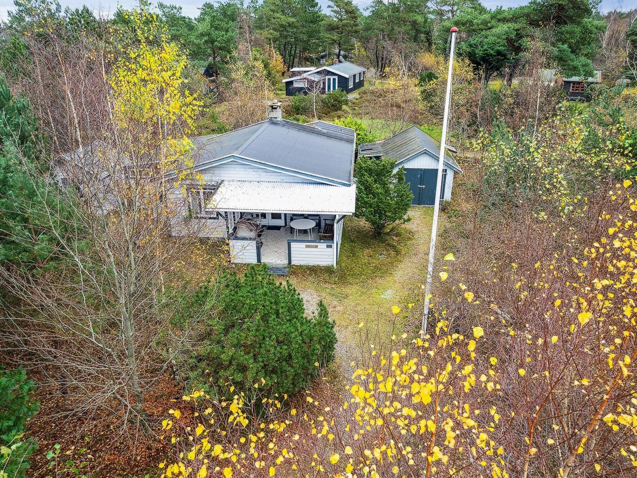 A residential area with multiple houses surrounded by dense foliage and trees.