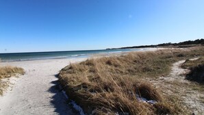 A beach path leading to the ocean with dry grass and sand.