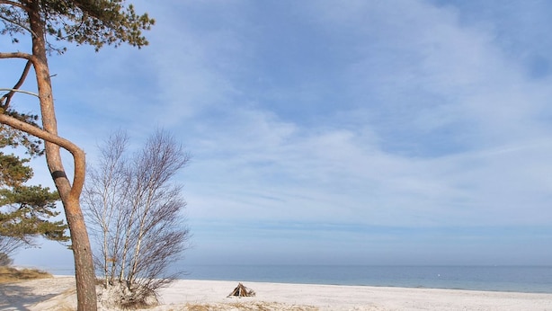 A beach with sand dunes, a pine tree, and a clear sky. - "Anemette" - 100m from the sea by Interhome (Nexø)